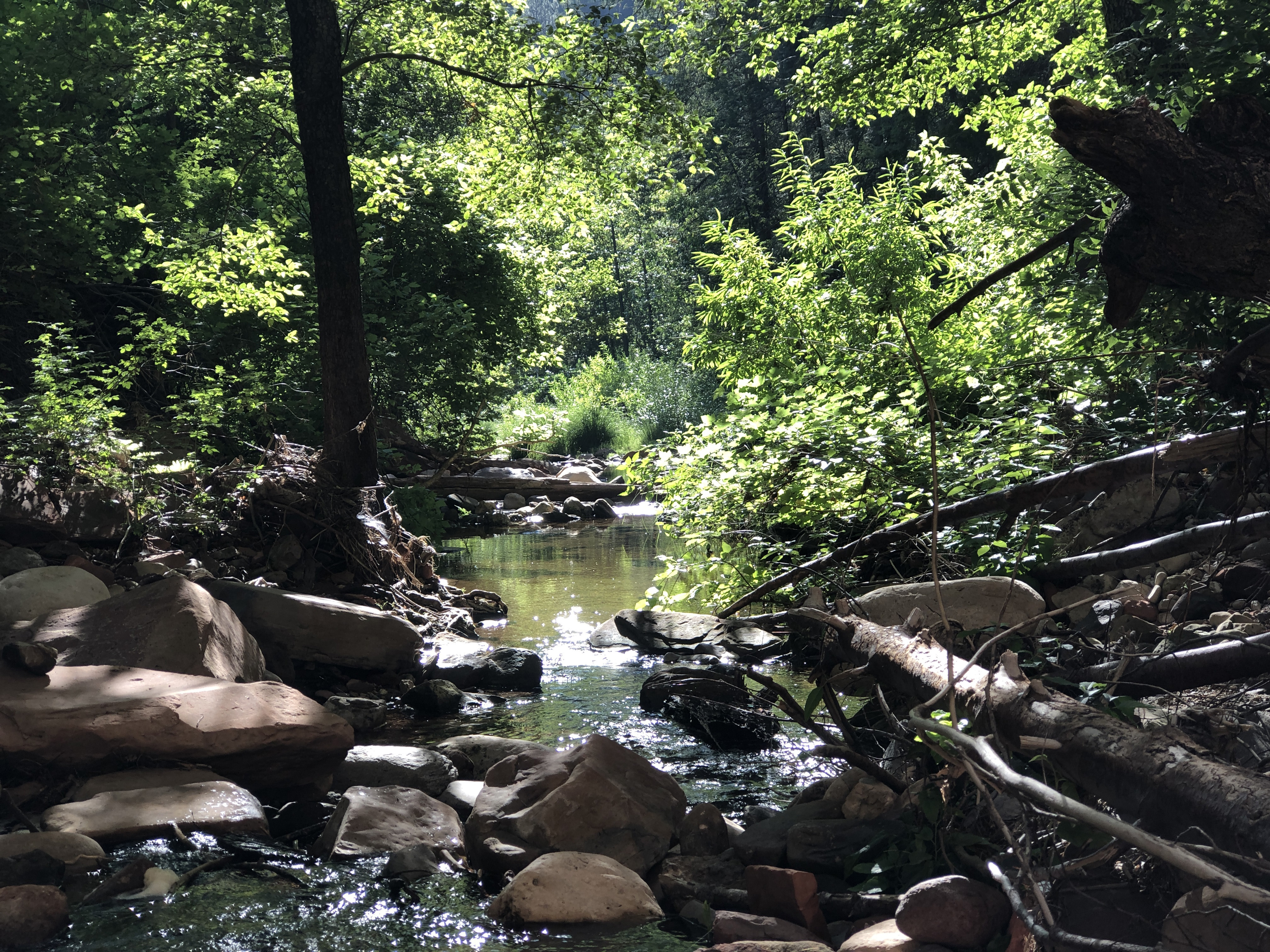 West Fork Hike - Oak Creek Canyon, Sedona