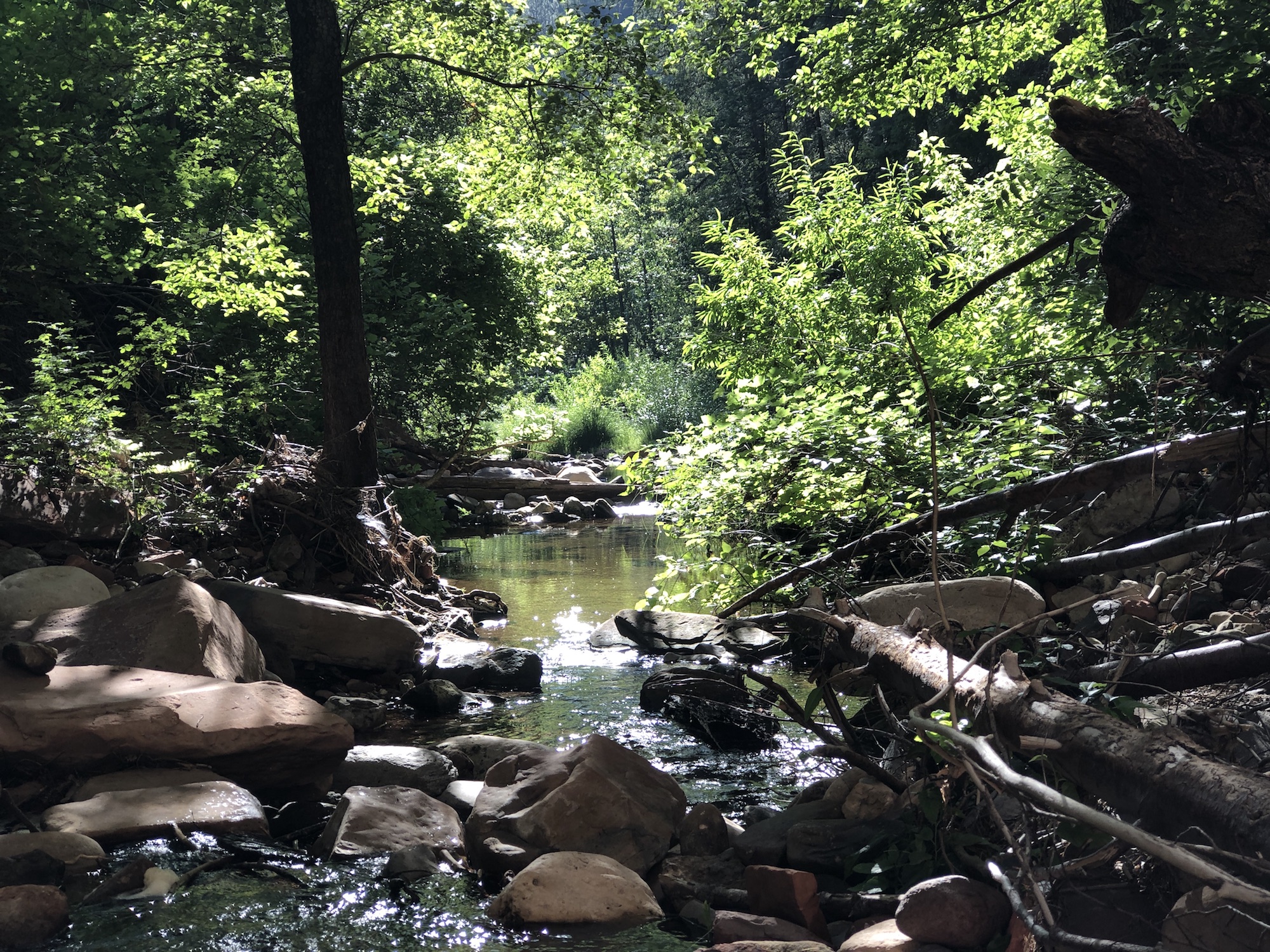 West Fork Trail Creek West Fork Trail Creek